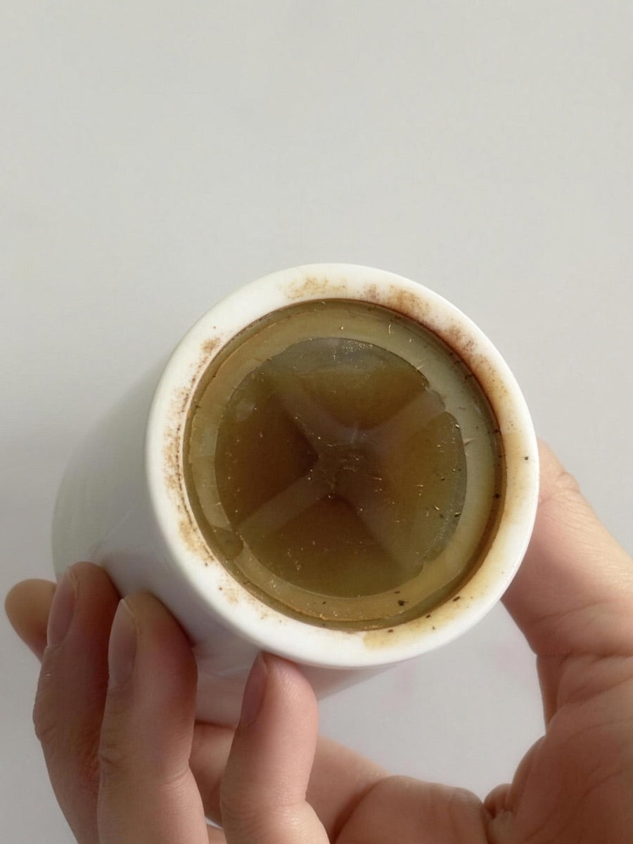 El filtro después de 90 días, de cerca: la malla teñida de café por todo lo que atrapó